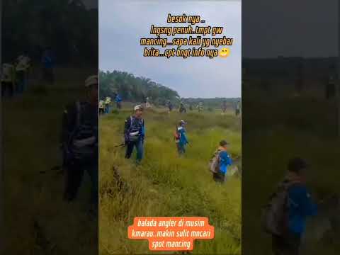 Big Fish mancing mania spot