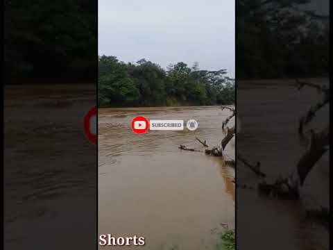 MANCING UDANG GALAH DI AIR KERUH INI HASILNYA#SHORTS