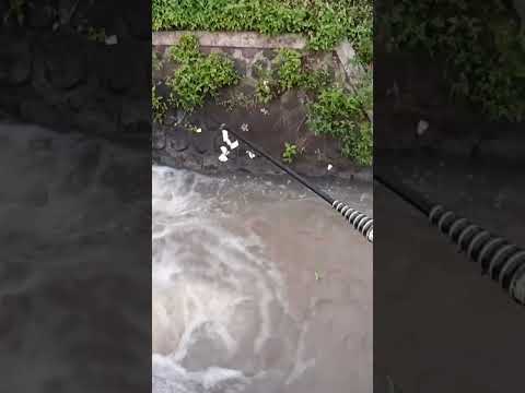 mancing mania strike ikan wader cakul || micro fishing