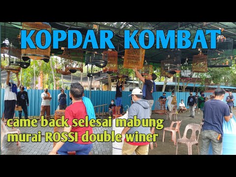 LOMBA MURAI BATU || KOMUNITAS MURAI BATU BATAM { KOMBAT }