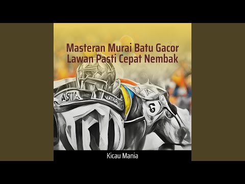 Masteran Murai Batu Gacor Lawan Pasti Cepat Nembak