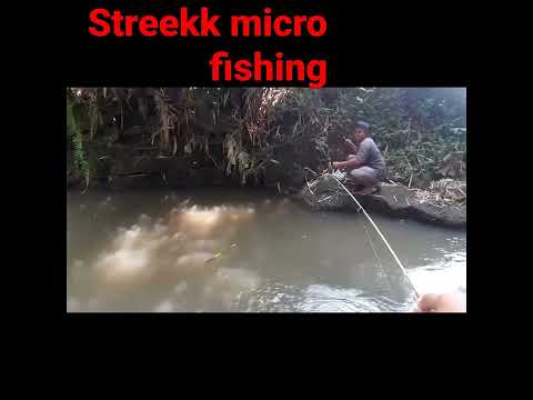 mancing ikan wader streek lage gess14