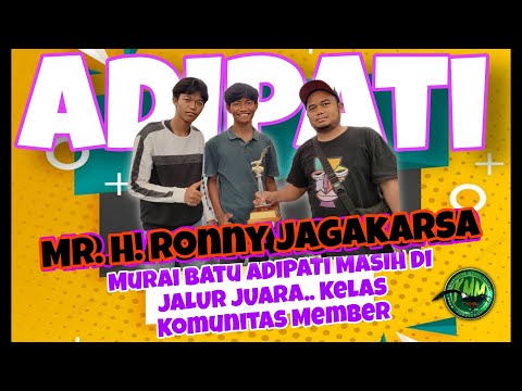 Murai batu ADIPATI MASIH DI JALUR JUARA.. Kelas Komunitas Member