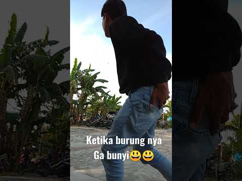 STORY WA KICAU MANIA