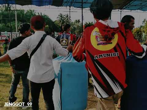 Story WA Kicau mania