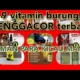9 VITAMIN PENGGACOR BURUNG TERBAIK||IDAMAN PARA KICAU MANIA