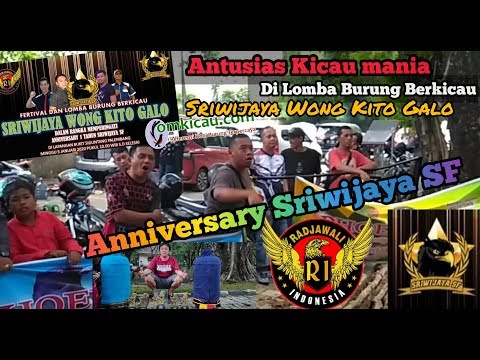 Antusias kicau mania di Lomba burung berkicau Sriwijaya Wong Kito Galo
