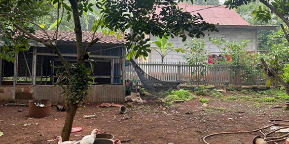 Mau Buka Usaha Pemancingan & Budidaya Ikan? Ada Lahan Dijual/Disewa di Setu, Bekasi