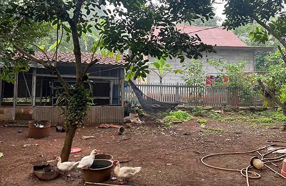 mau-buka-usaha-pemancingan-&-budidaya-ikan?-ada-lahan-dijual/disewa-di-setu,-bekasi