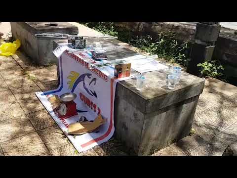LOMBA MANCING TANJUNG PALAS (KOMUNITAS GURIS  2)