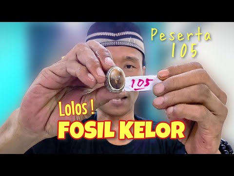 LOLOS UJI TEMBAK ❗ Batu Akik Fosil Kelor Peserta 105 di BTN Surabaya #batuakik #4newsgoo