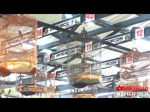 SESI KE 17 | TRACKING CAM 2 | CLASS MURAI BATU MUDA B BERITA RN |  EVENT MEDIA AWARD