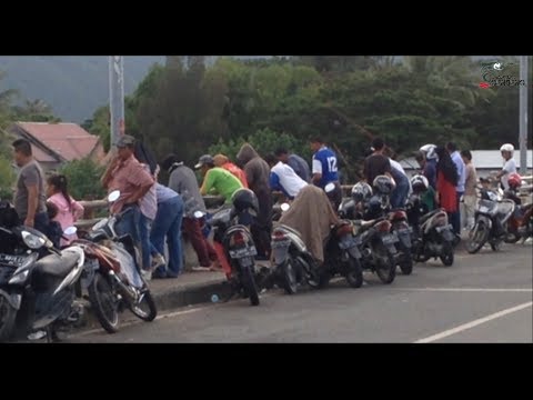 Kirain pada Ngapain Rame Rame Rupanyaa Mancing Disini  banyak dapat juga