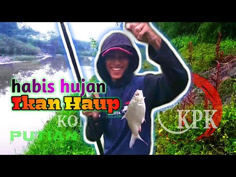Mancing Ikan Tawes di sungai bersama Komunitas Putihan Klaten | KPK
