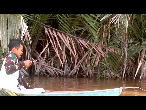 Mancing Udang Bersama Komunitas Pemuka Dan Pelindas edisi sei. Bemban