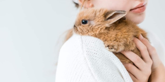 Tandai! Ini 6 Brand Kecantikan yang Cruelty-Free