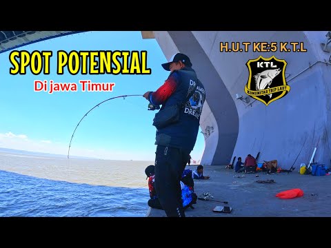 Mancing Di Suramadu – H.U.T ke 5 Komunitas Trip Laut