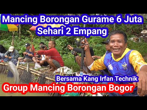 Mancing Borongan Gurame lele bawal || Sehari 2 Empang Bersama MBB