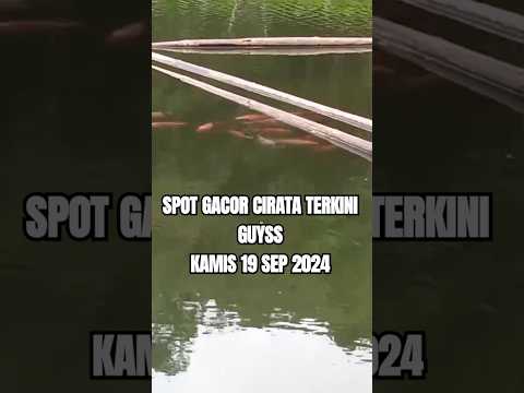 SPOT MANCING CIRATA TERBARU KAMIS 19 SEP 2024 #mancingcirataterbaru #lapakmancingcirata #spotgacor