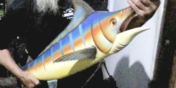 Marlin : Impian Para Angler, Kenali Marlin Dari Siripnya