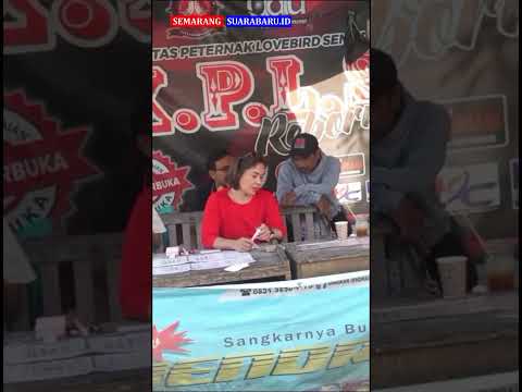 Giat Kicau Mania di Semarang Timur