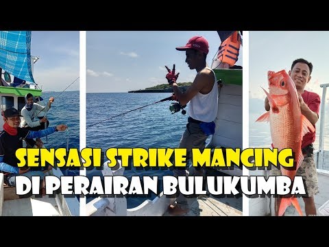 4 Komunitas Mancing Sulsel Rasakan Sensasi Strike di Perairan Bulukumba