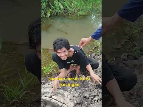 jaranan masih Edisi kucingan#video#video#Lucuk#Lucu#komunitas#komunitas#