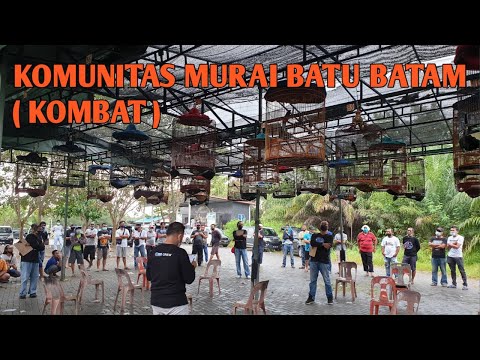 LOMBA KOMUNITAS MURAI BATU BATAM ( KOMBAT )