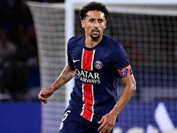 Maillot Domicile PSG 2015/16 Homme Nike Taille L – Version Pro Hommage Zlatan, Très Bon état