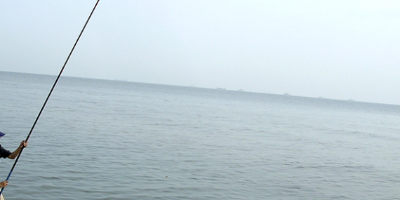 Mengenal Lebih Dekat Apa Itu Mancing Garong