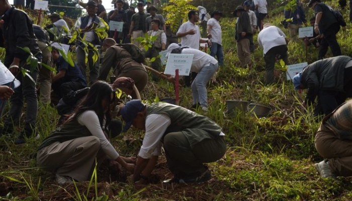 dari-lahan-kritis-ke-hutan-produktif:-upaya-pln-nusantara-power-selamatkan-hulu-ciliwung