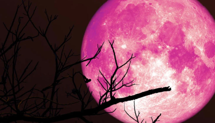 mengenal-strawberry-moon:-fenomena-alam-menakjubkan-di-langit-juni