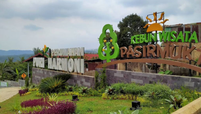 main-ke-kebun-wisata-pasirmukti-bogor,-serunya-belajar-bertani-sambil-menikmati-alam