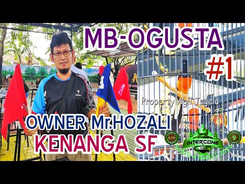 MURAI BATU “OGUSTA” OWNER Mr.HOZALO KENANGA SF SUKSES DI PODIUM #1 EVENT KMI FEAT INTERCONE