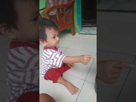 kicau mania cilik