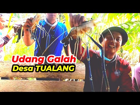 KOLAB-DUA KOMUNITAS MANCING UDANG GALAH RIAU MENJAJAL SPOT DESA TUALANG