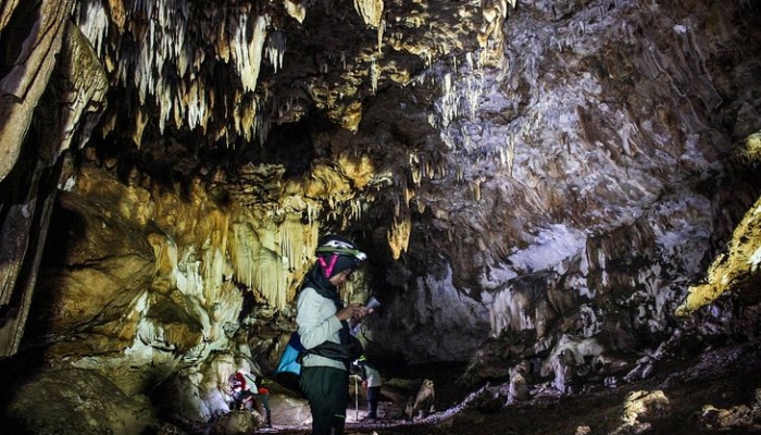 gua-mololo,-pemukiman-manusia-purba-berusia-55-ribu-tahun-di-raja-ampat