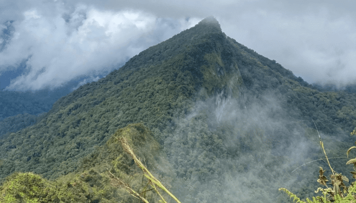 tolak-konsep-taman-nasional-dan-akui-pegunungan-meratus-sebagai-hutan-adat
