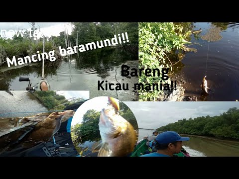 #HQVLOG|| Mancing bareng kicau mania!!