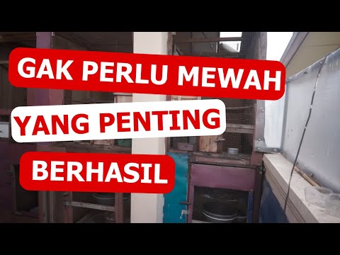 FASILITAS KANDANG TERNAK MURAI BATU | KICAU MANIA