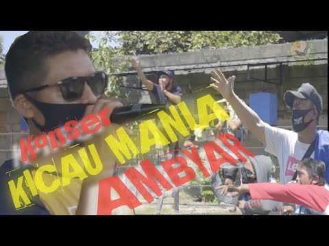 GUYONAN..!!KONSER KICAU MANIA AMBYAR…