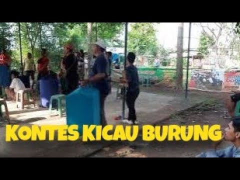 Kontes Suara Kicau Burung Sukaragam – Kicau Mania