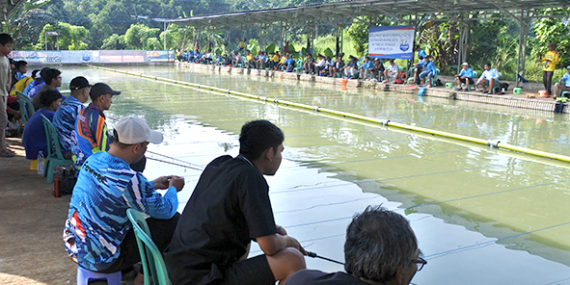Boy Fishing : Buka Seminggu 3 Kali, Lomba Ikan Mas, Lokasinya Nyaman & Teduh