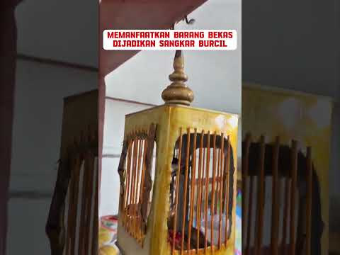 sangkar burung kecil #burung #mangkicauoffecial #kicaumania #burungkicaudialamliar #kicaumanianusan
