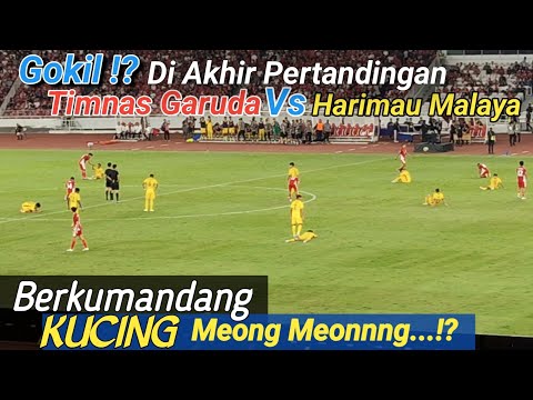 Di Akhir Laga Timnas Garuda Vs Harimau Malaya Berkumandang Kucing Meong meong!?