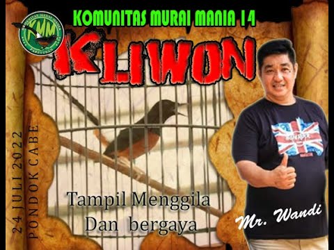 TAMPIL MENGGILA DAN BERGAYA : MURAI BATU KLIWON BERHASIL MENGUKIR PRESTASI II MR.WANDI II CITEREUP