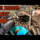 SPOT JOSSS ‼️ POSITIF DAPAT BABON BABON || mancing ikan red devil NAHOL MANIA