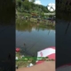 LOMBA MANCING IKAN NILA, DI BANYUMAS #shorts