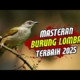 MASTERAN PARA KICAU MANIA SUARA JERNIH TEMBAKAN TAJAM UNTUK BURUNG LOMBA
