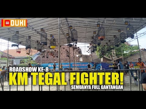 ROADSOW ke-8 Kicau Mania TEGAL FIGHTER! Full Gantangan Meski Lawan KONSLET